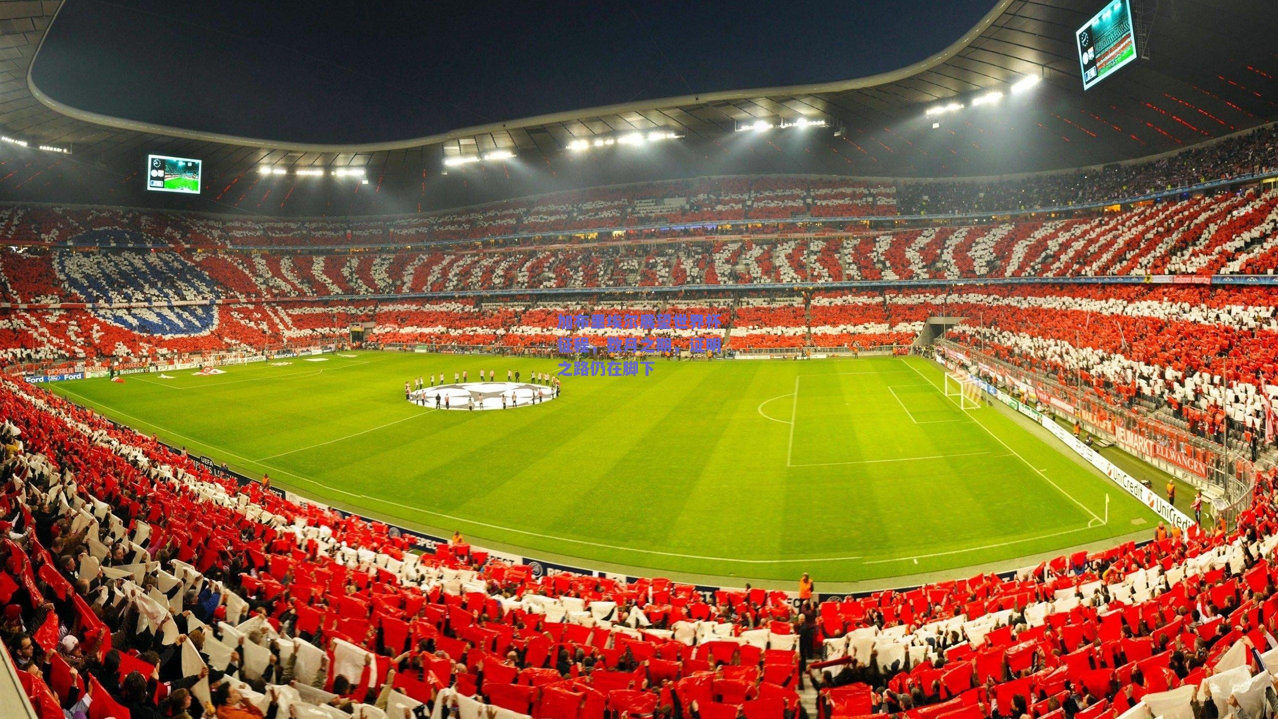 加布里埃尔展望世界杯征程，数月之期，证明之路仍在脚下